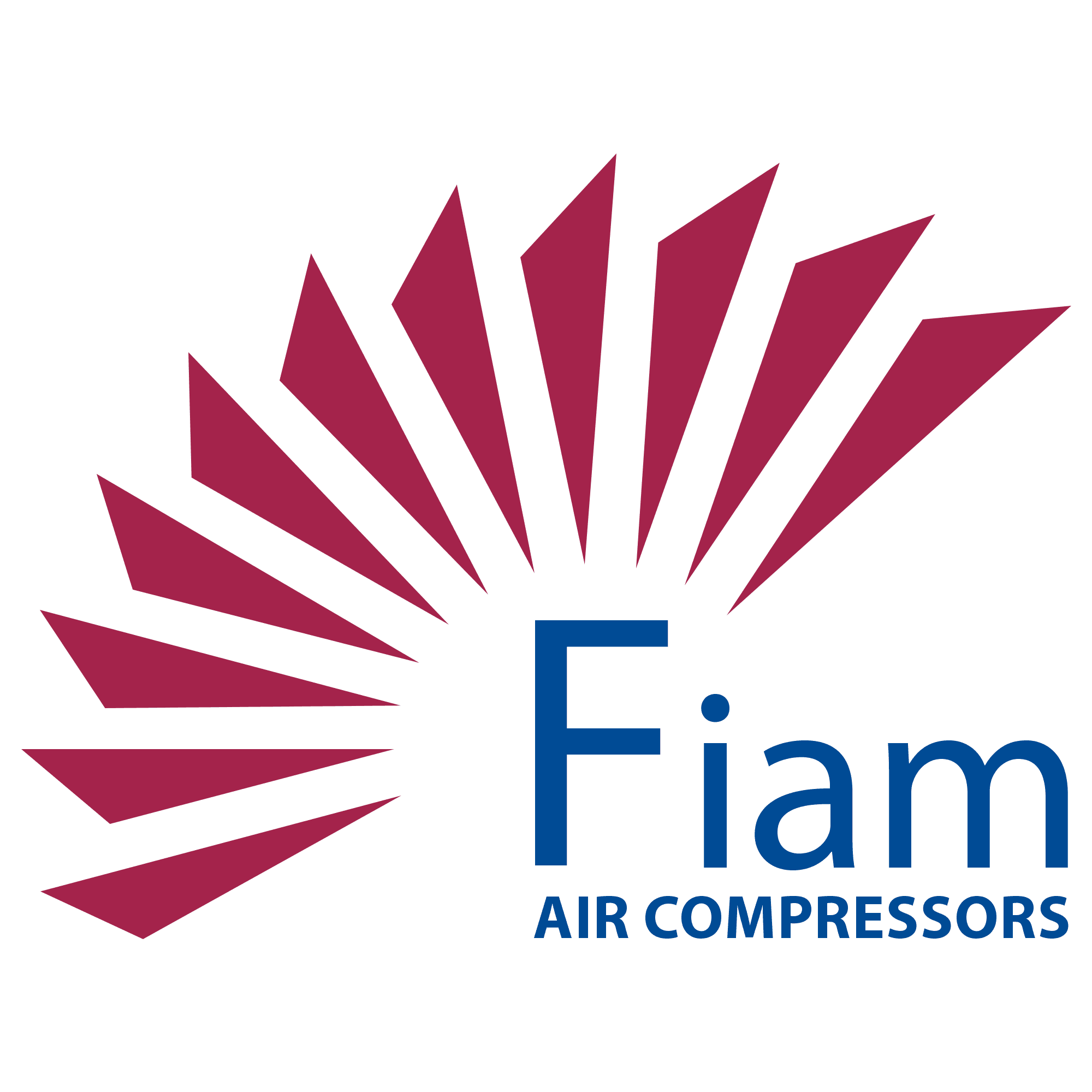 Logo Fiam Usine
